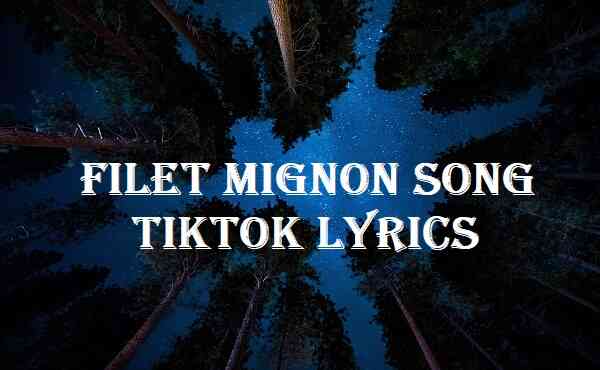 Filet Mignon Song Tiktok Lyrics