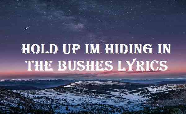 Hold Up Im Hiding In The Bushes Lyrics