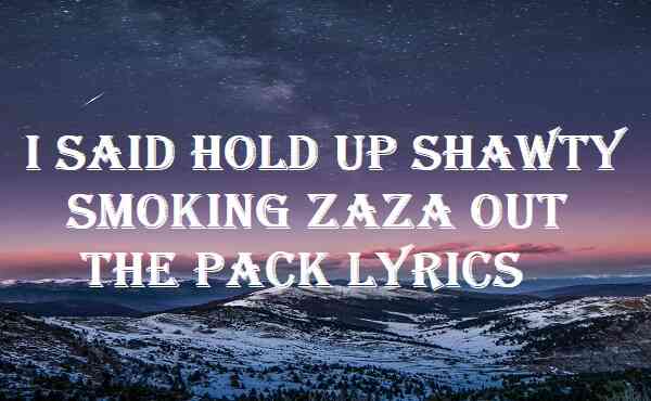 I Said Hold Up Shawty Smoking Zaza Out The Pack Lyrics