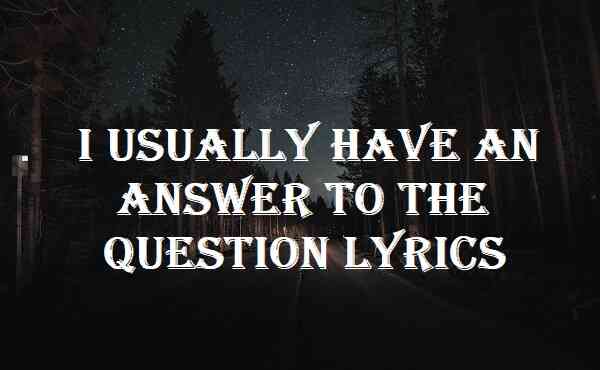 I Usually Have An Answer To The Question Lyrics