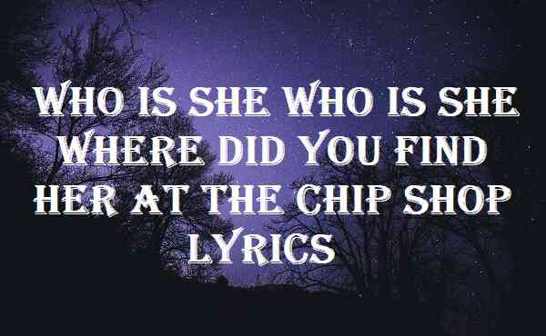 Who Is She Who Is She Where Did You Find Her At The Chip Shop Lyrics