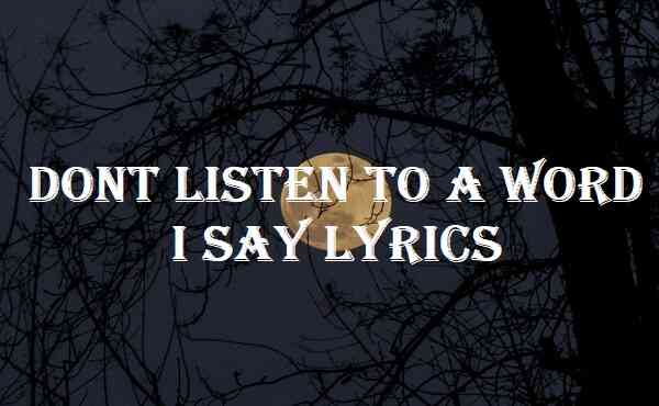 Dont Listen To A Word I Say Lyrics