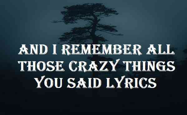 And I Remember All Those Crazy Things You Said Lyrics