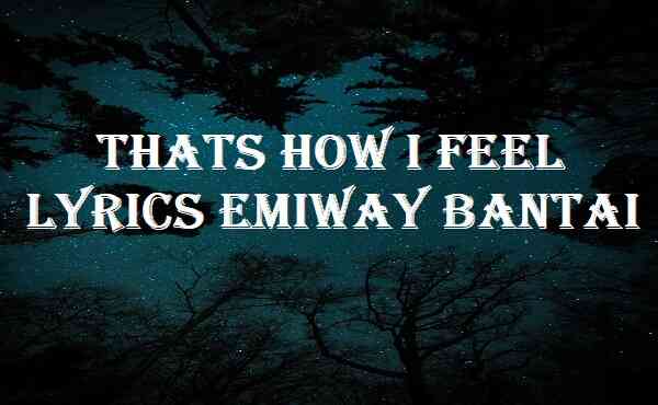 Thats How I Feel Lyrics Emiway Bantai