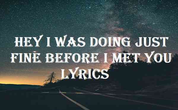 Hey I Was Doing Just Fine Before I Met You Lyrics