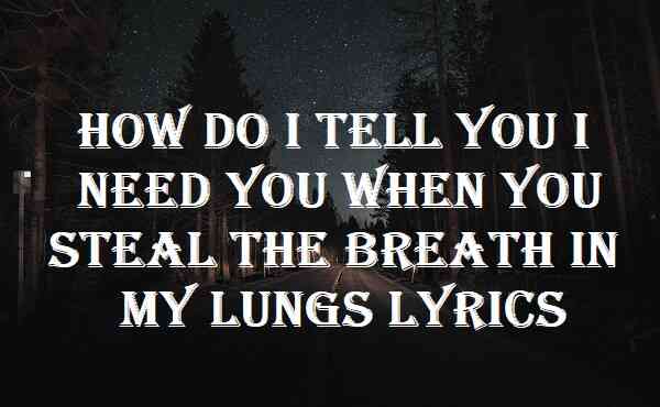 How Do I Tell You I Need You When You Steal The Breath In My Lungs Lyrics
