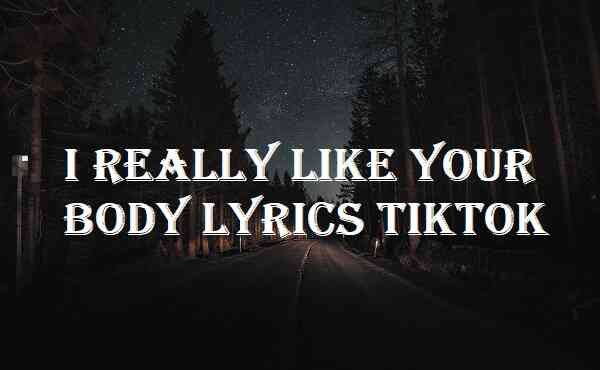 I Really Like Your Body Lyrics Tiktok