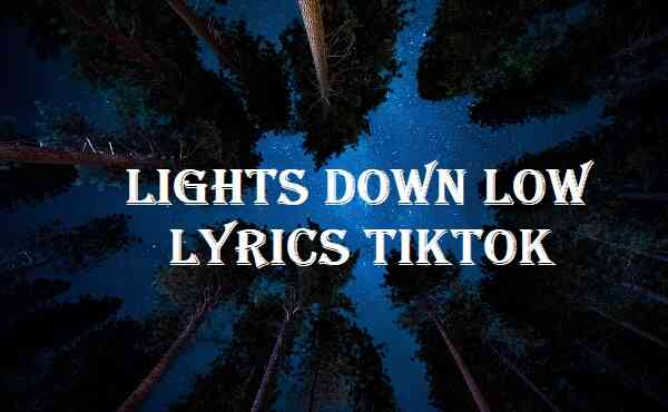 Lights Down Low Lyrics Tiktok