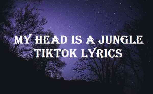 My Head Is A Jungle Tiktok Lyrics
