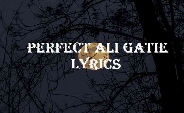Perfect Ali Gatie Lyrics
