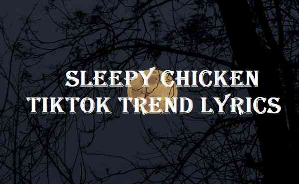 Sleepy Chicken Tiktok Trend Lyrics