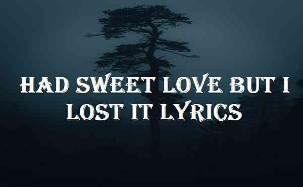 Had Sweet Love But I Lost It Lyrics