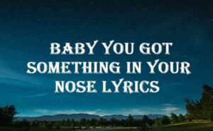 Baby You Got Something In Your Nose Lyrics   Baby You Got Something In Your Nose Lyrics 300x185 