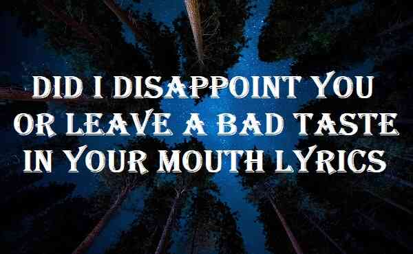 Did I Disappoint You Or Leave A Bad Taste In Your Mouth Lyrics