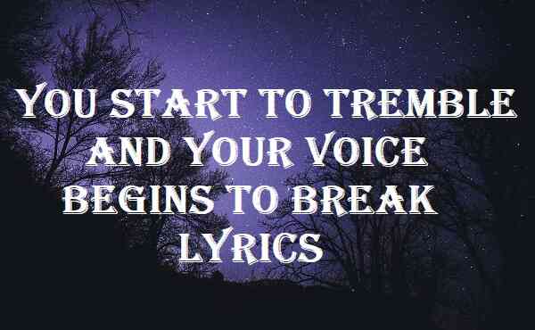 You Start To Tremble And Your Voice Begins To Break Lyrics
